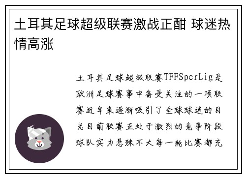 土耳其足球超级联赛激战正酣 球迷热情高涨