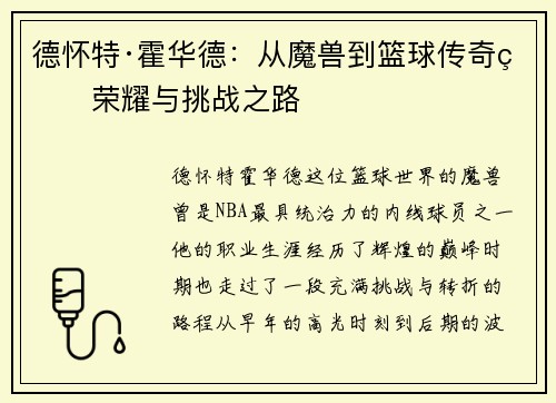 德怀特·霍华德:从魔兽到篮球传奇的荣耀与挑战之路 德怀特·霍华德:从魔兽到篮球传奇的荣耀与挑战之路