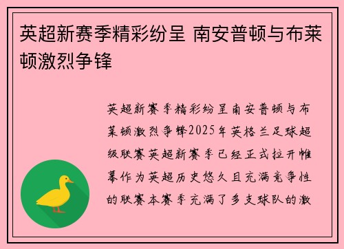 英超新赛季精彩纷呈 南安普顿与布莱顿激烈争锋